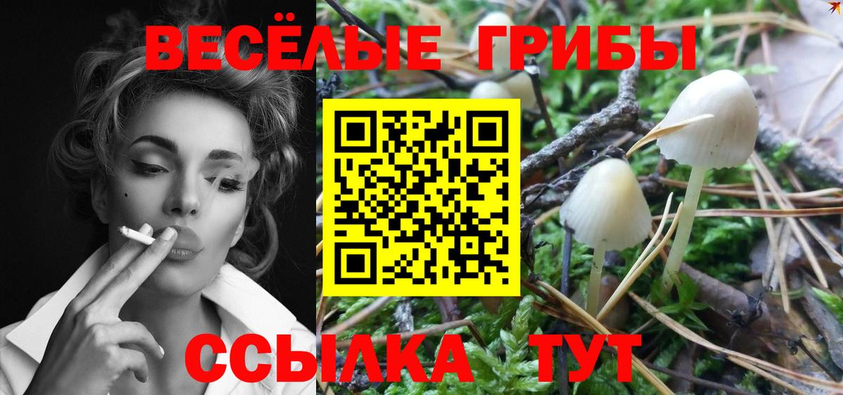 купить  сайты  Псилоцибиновые грибы Cubensis  Псилоцибиновые грибы мицелий  Вход с VPN  Дальнереченск 