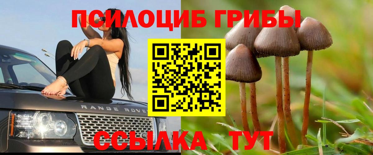 Галлюциногенные грибы прущие грибы Дальнереченск